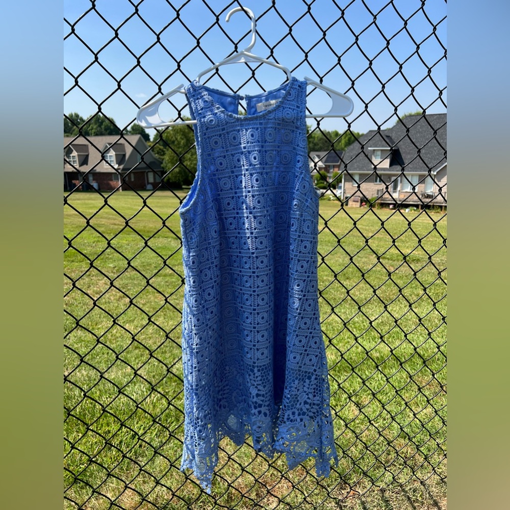 Blue lace Francesca’s dress in size xs, fits more like a small.